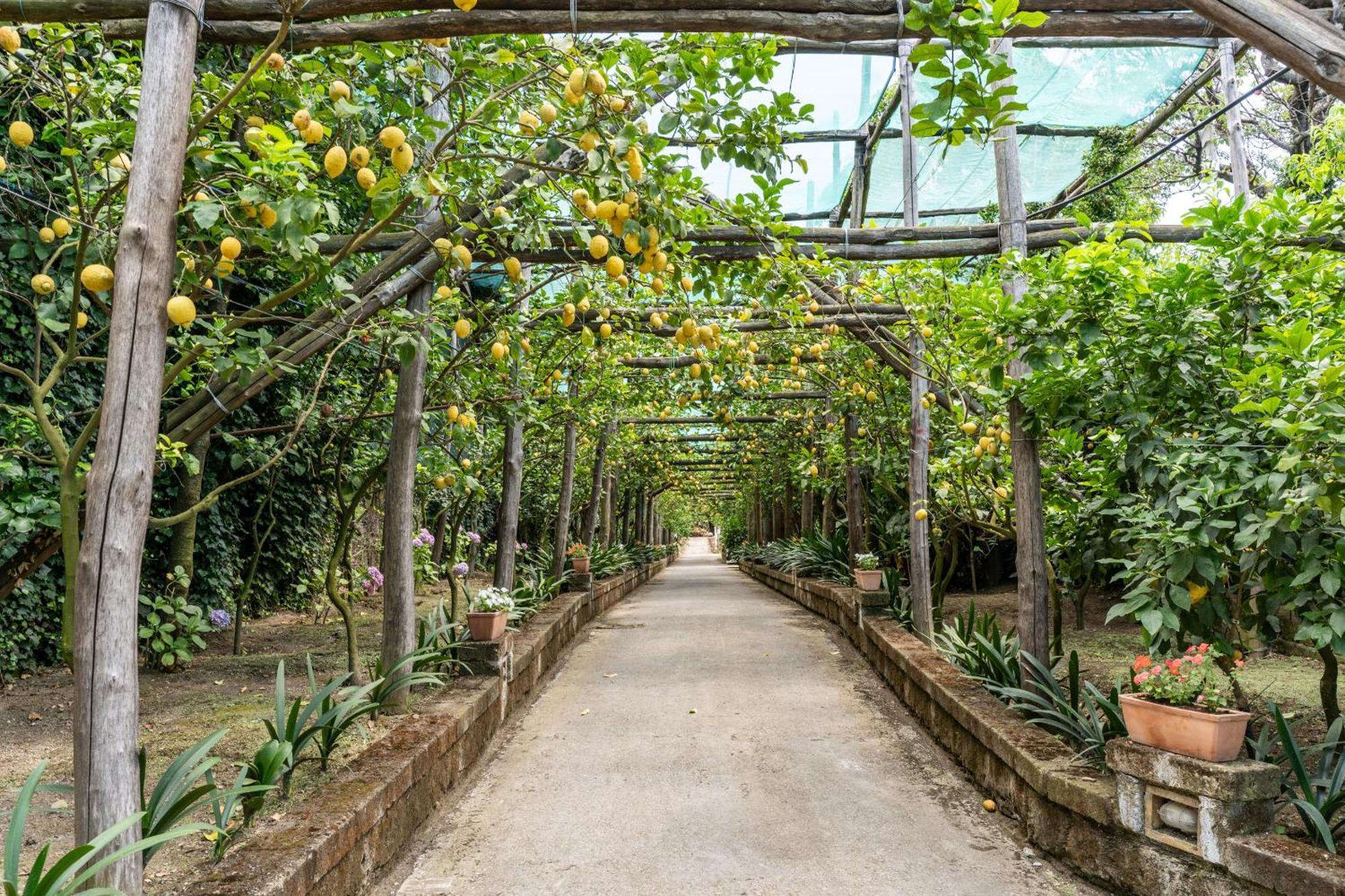 Villa Romantic Garden *